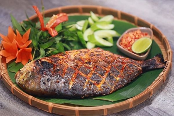 Cá Dìa Là Cá Gì? Giá Sỉ Các Loại Cá Dìa