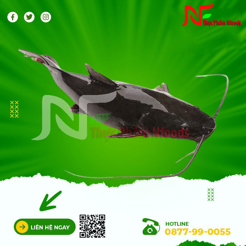 Cá lăng làm sạch