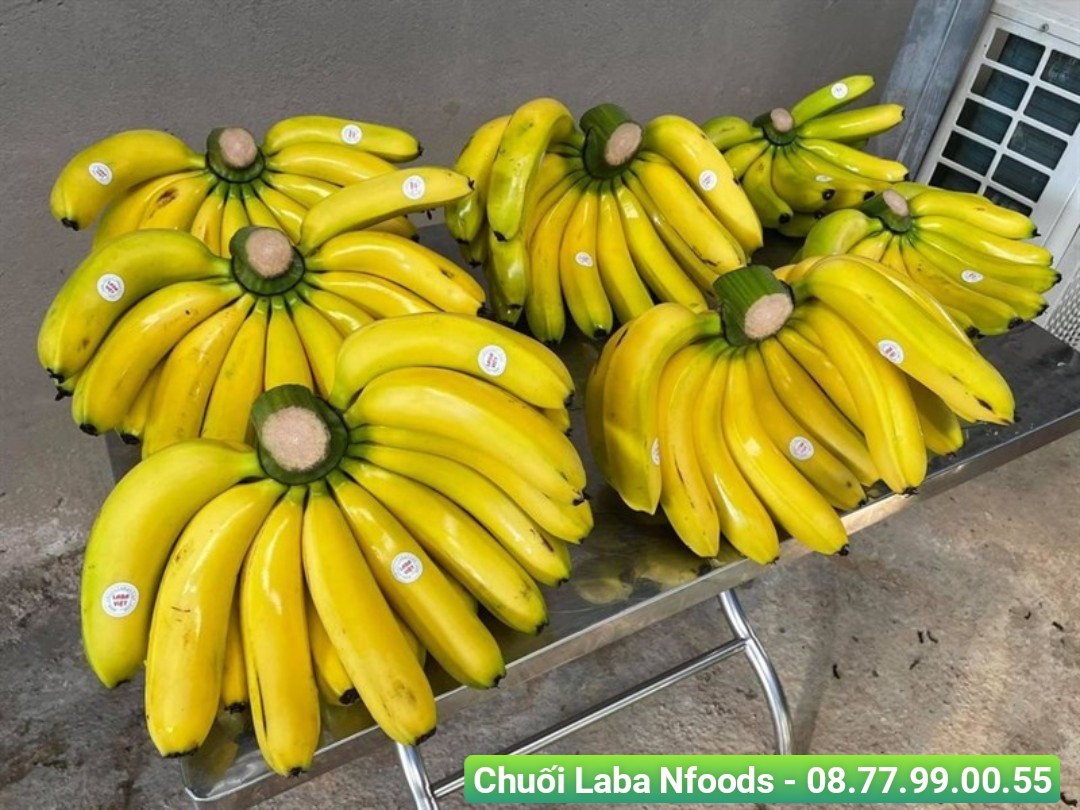 Cách bảo quản trái cây nhập khẩu tươi ngon, lâu dài