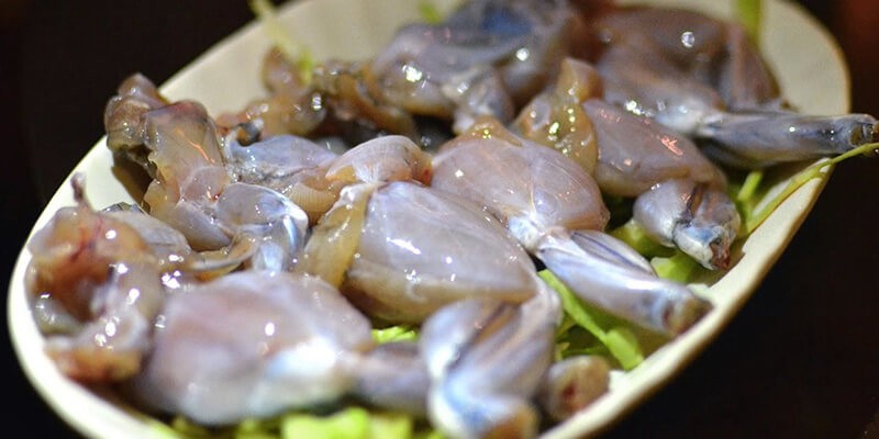 Cập nhật giá thịt ếch hôm nay 01/04/2024