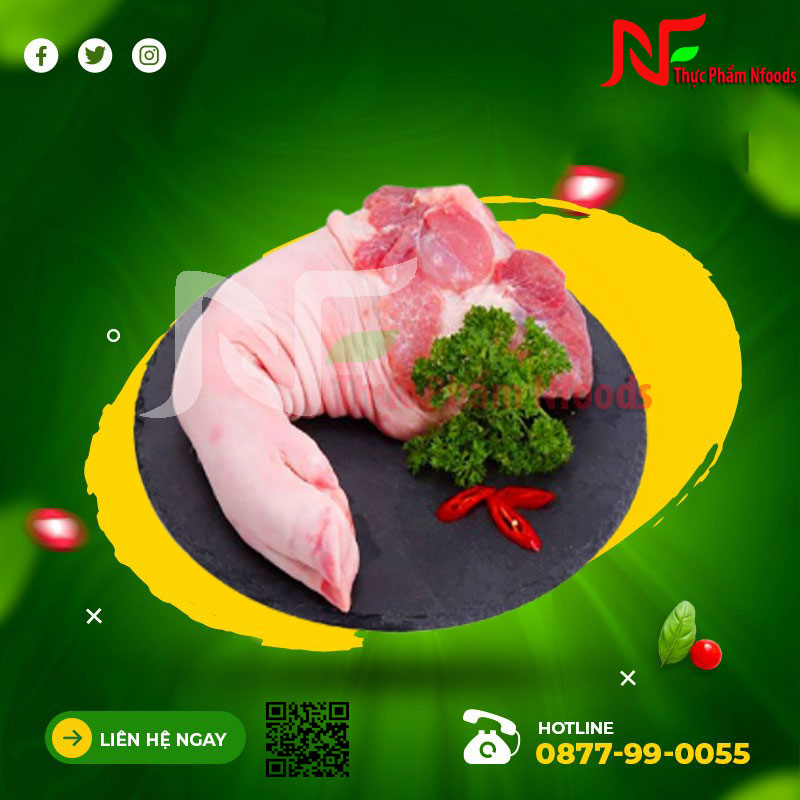 Chân trước Animex