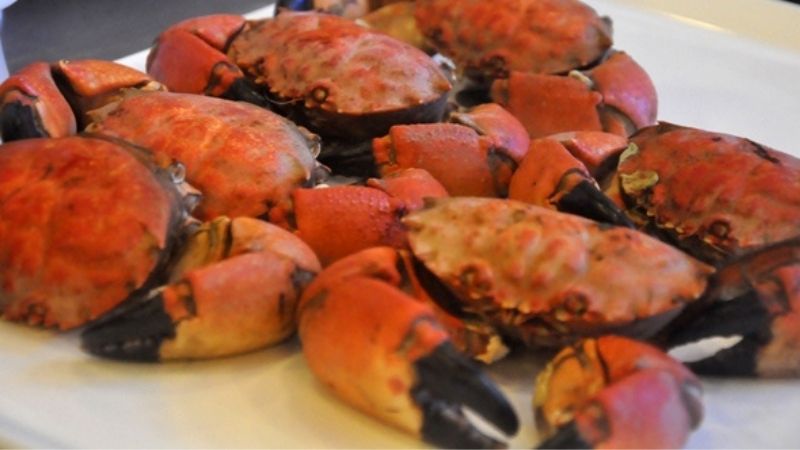 Cù kỳ đỏ càng ngang cua hoàng đế, giá chỉ từ 130k/kg, đang được 