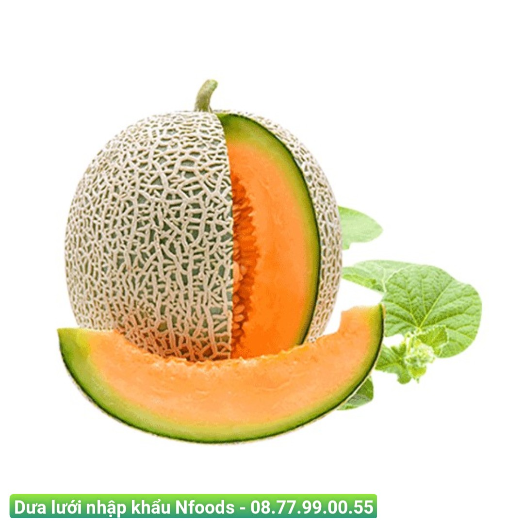 Cung cấp Dưa lưới nhập khẩu giá sỉ 