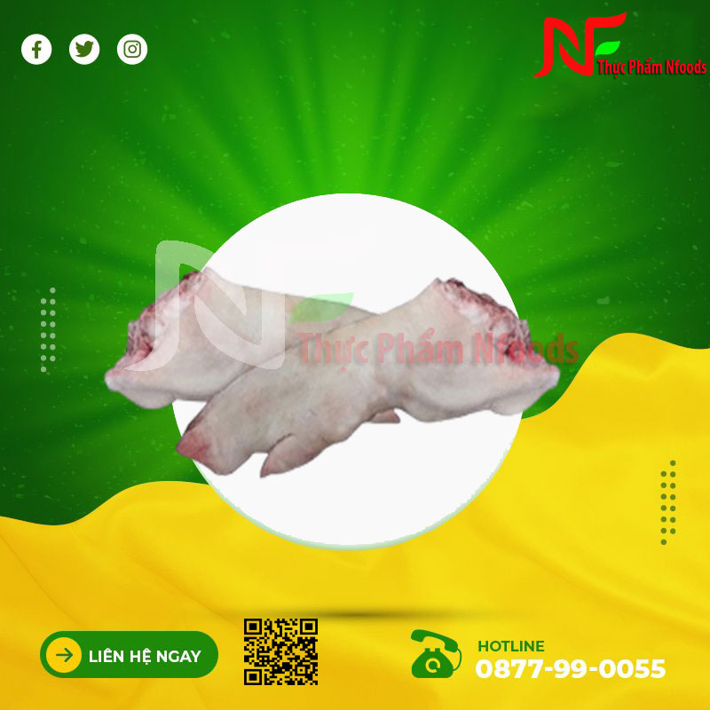 Dựng sau animex