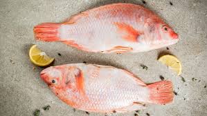 Giá cá Diêu Hồng hôm nay bao nhiều tiền 1Kg 2024? Giá cá giống, Mua ở đâu?