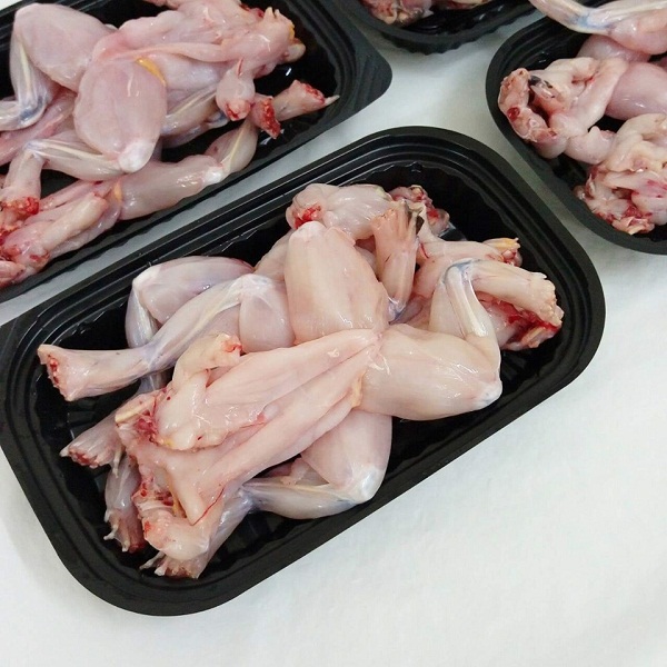 giá ếch thịt hôm nay