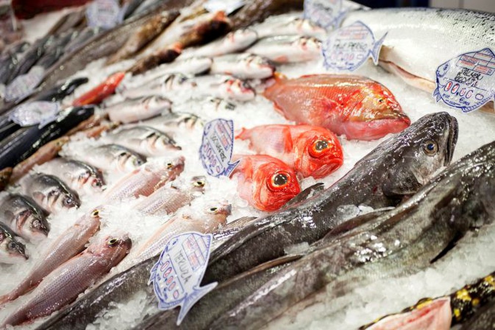 kho thực phẩm đông lạnh bến tre