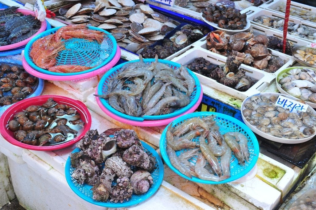 Kho thực phẩm đông lạnh vifoods tại đồng xoài: Chuyên cung cấp sỉ thực phẩm đông lạnh tại đồng xoài