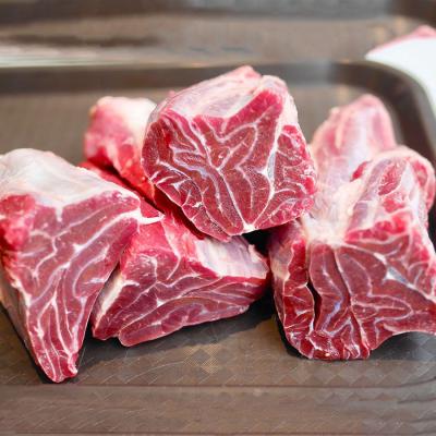 Bắp hoa lõi rùa bò mỹ