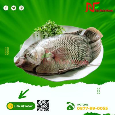 Cá tai tượng