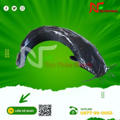 Cá trê làm sạch