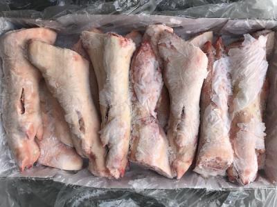 Dựng Trước (Móng Giò Heo)