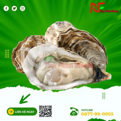 Hàu Sữa Tách Sẵn