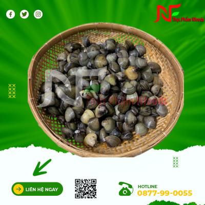 Hến