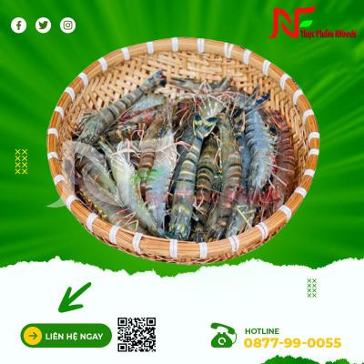 Tôm Sú Sống