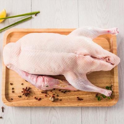 Vịt xiêm giá sỉ tại TP HCM