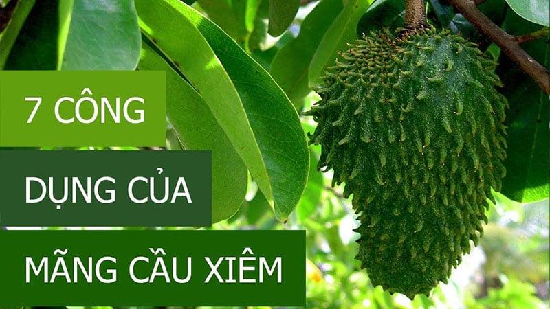 công dụng mãng cầu xiêm