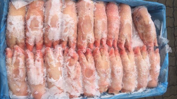 Chân trước heo nguyên cái