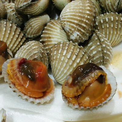 So huyet ca mau- hai san tuoi song ha noi