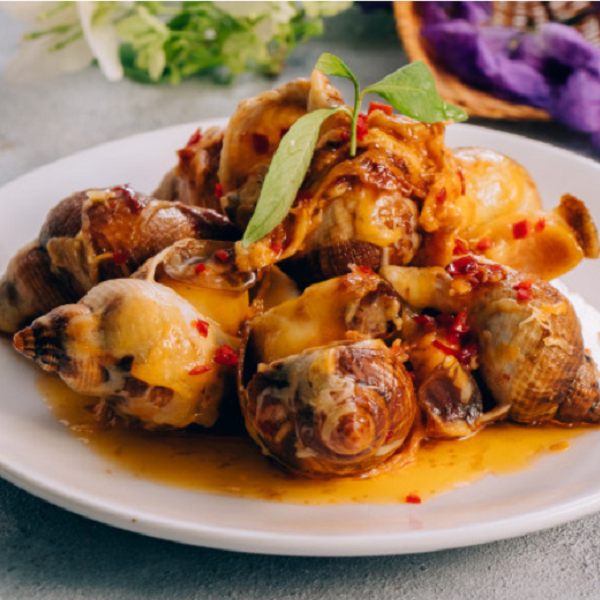 Tìm Hiểu Về Ốc Bulot Pháp
