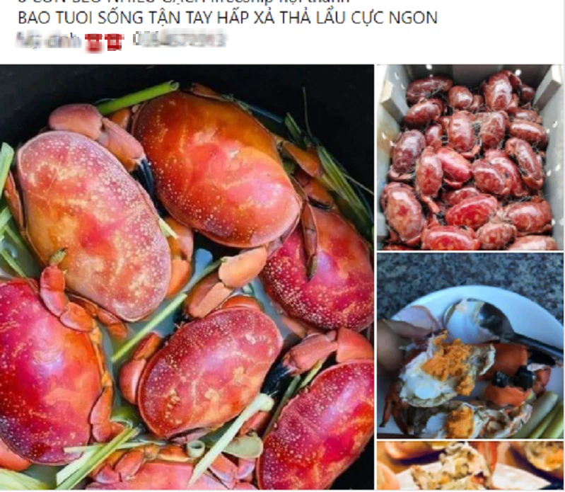 Cù kì đỏ càng ngang cua hoàng đế, giá chỉ từ 130k/kg đang được săn lùng khắp chợ mạng - Ảnh 2.