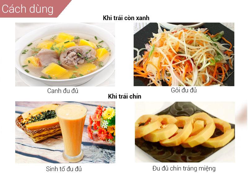 Đu đủ ruột vàng khi xanh có thể nấu canh, làm gỏi, khi chín có thể ăn liền, làm sinh tố